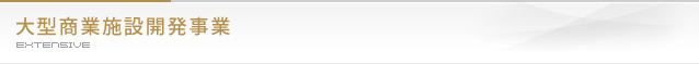大型商業施設開発事業