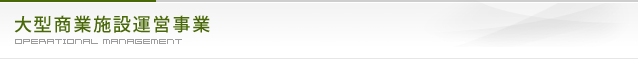 大型商業施設運営