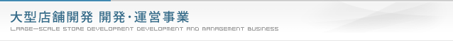 大型店舗開発 開発･運営事業